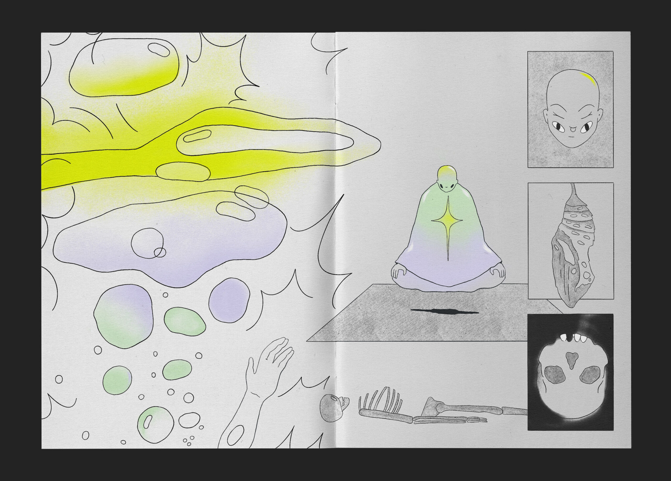 Lateülade_Macarena_üla_Apolillada-2025-(10)